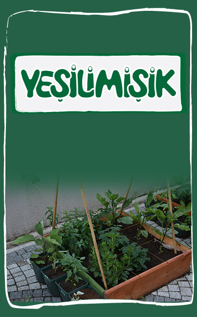 yesilmisik