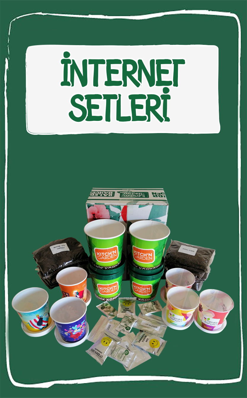 İNTERNET