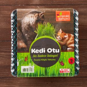 Kedi Otu